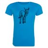 AWDis Ladies Cool T-Shirt Thumbnail
